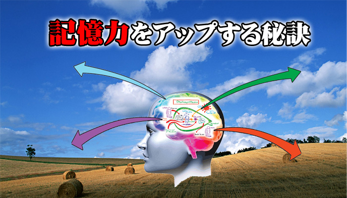 �p�ꋳ�ށE�œK��r���r���[�������L���O