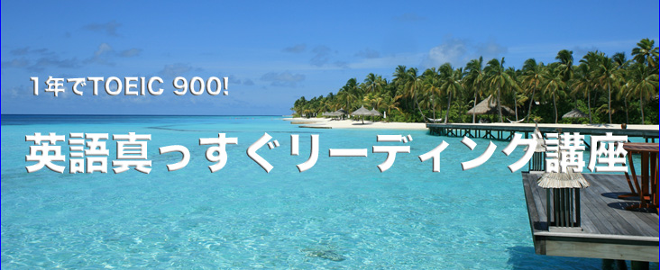 �p�ꋳ�ށE�œK��r���r���[�������L���O